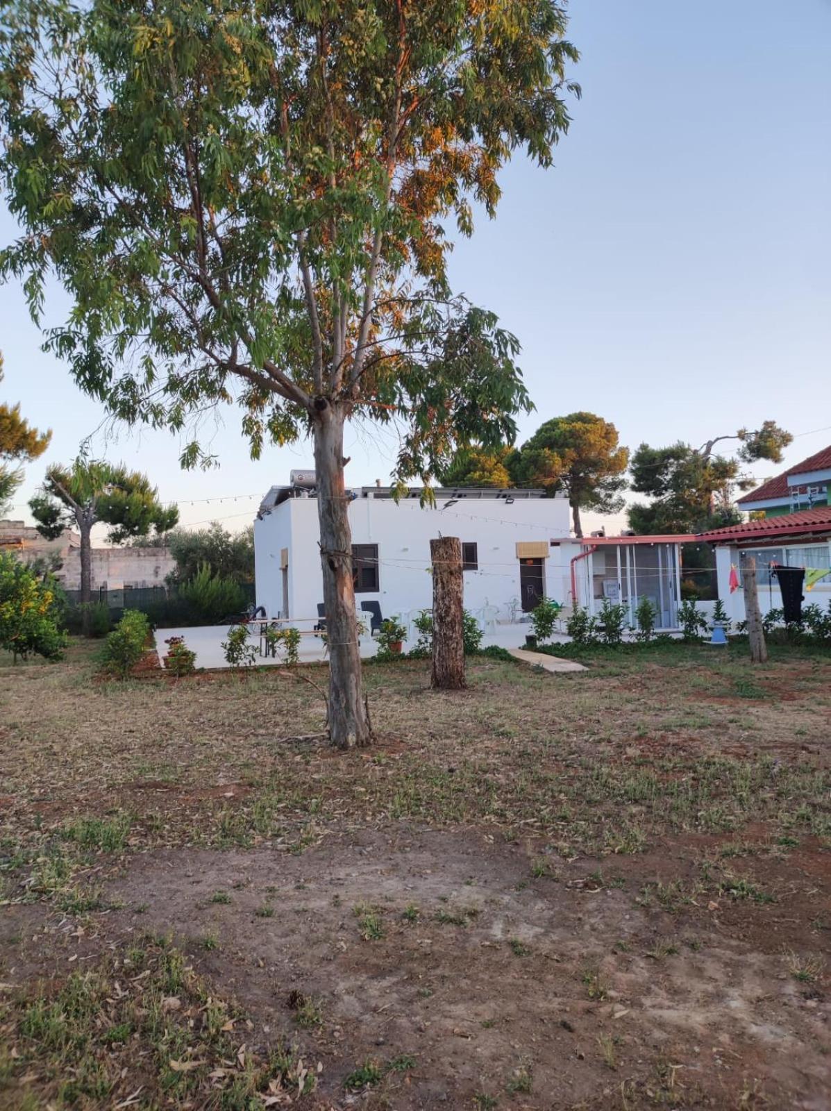B&B Villa Vittorio Galatone Zewnętrze zdjęcie